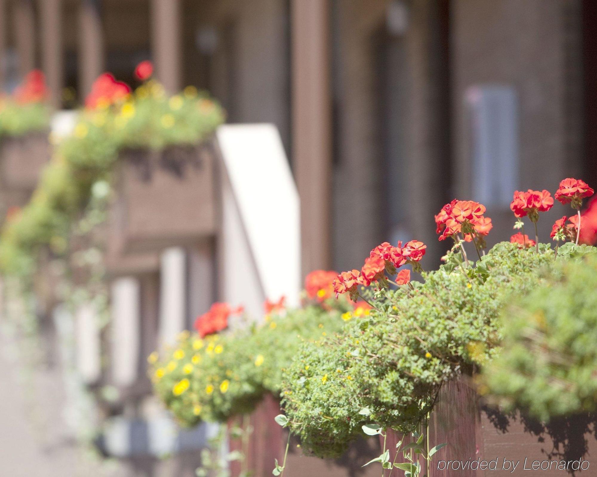 Downtown Duluth Inn エクステリア 写真
